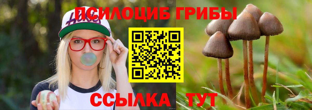 Псилоцибиновые грибы Cubensis  закладка  Котельники  Вход с VPN  Псилоцибиновые грибы Psilocybe 